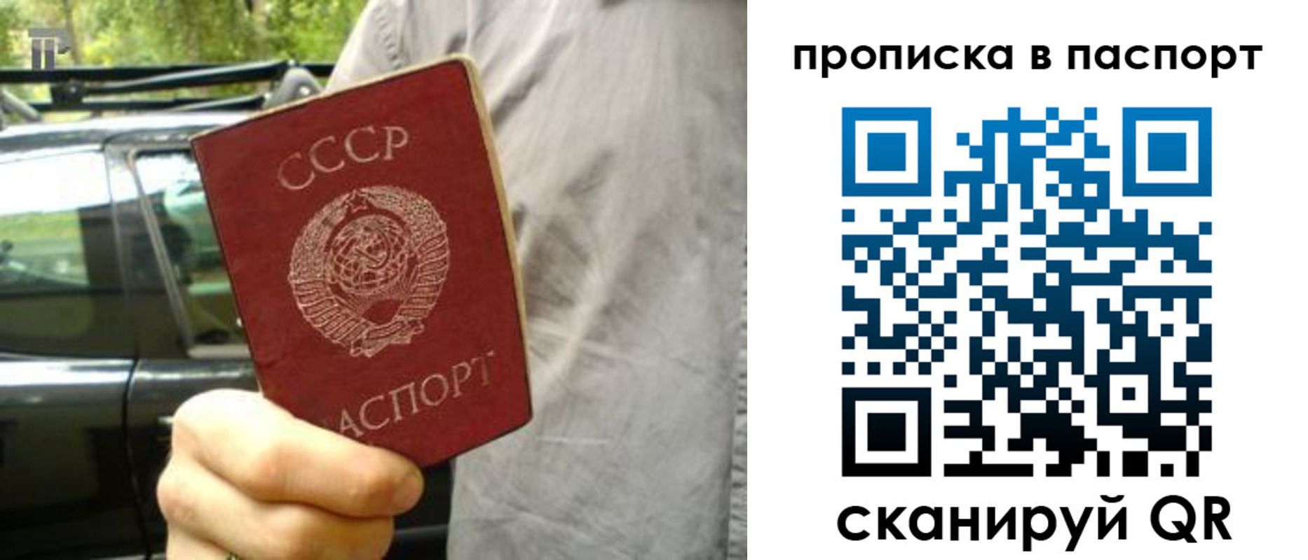 временная регистрация для школы в Санкт-Петербурге